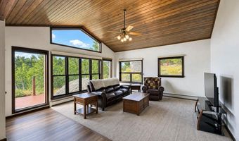 338 County Road 84 W, Allenspark, CO 80510