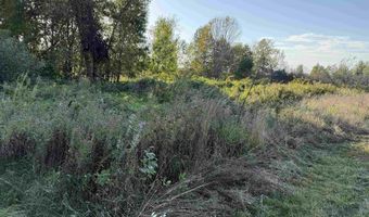 COUNTY ROAD Z lot 4, Aniwa, WI 54408