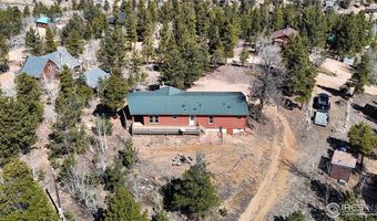 53 Obrien Rd, Bailey, CO 80421