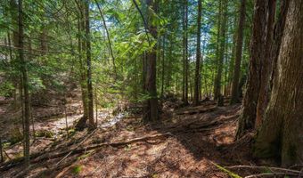 1142 Salee Creek Rd, Bayview, ID 83803