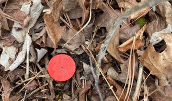SWEATT ROAD lot Tract C - 29+/- Acres, Ashville, AL 35953