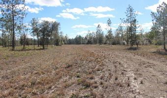 5015 NW County Road 274, Altha, FL 32421
