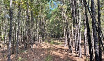Tract 51 Highway 2, Antlers, OK 74523