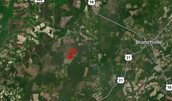 Old Buckhead Road, Bamberg, SC 29003