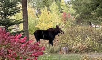 1639 W Hillsdale Rd, Athol, ID 83801
