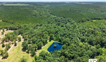 3470 Bell Fork Rd, Atmore, AL 36502