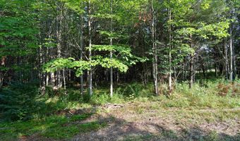 9537 LAKEVIEW Rd, Alanson, MI 49706