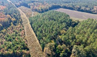 TBD Binnicker Bridge Road, Bamberg, SC 29003