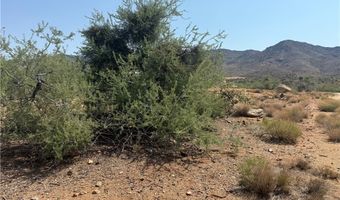 2 Lots W Minnesota Ave, Chloride, AZ 86431