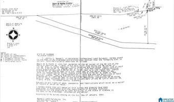 CONSTELLATION AVENUE lot 00, Alpine, AL 35014
