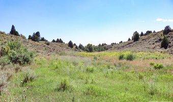 1780 Sadorus Hill Rd, Ashton, ID 83420