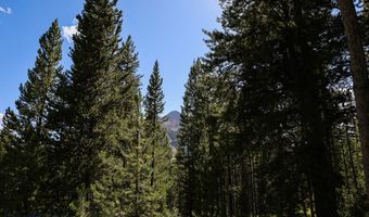 Beehive Basin Road, Big Sky, MT 59716