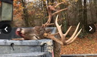 Putnam Road, Belzoni, MS 39038
