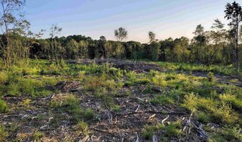 9751 Ocelot, Gilmer, TX 75644