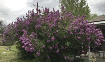 30 N Division St, Cowley, WY 82420