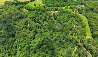 989 Schlessman Rd, Anderson, MO 64831
