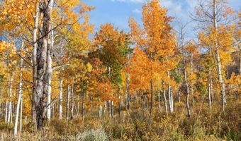 Tbd Spinnaker Lane, Basalt, CO 81621
