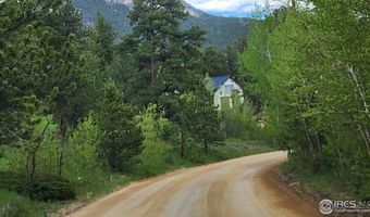 256 Fisk Fenner Rd, Allenspark, CO 80510