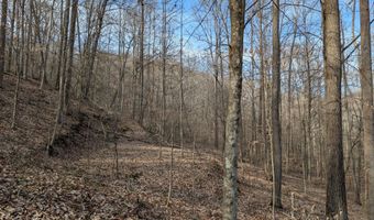 9999 Tip Top Rd, Beattyville, KY 41311