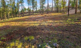 7 Eric Ln, Alpine, AZ 85920