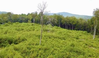 224 Arrau Rd, Andover, VT 05143