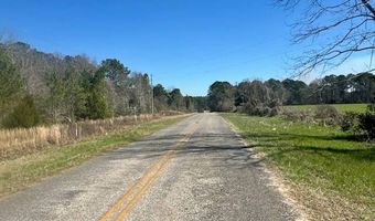 0 Tervin Mill Rd, Andalusia, AL 36421