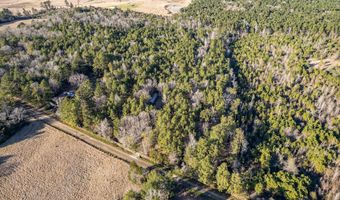 2870 County Road 2604, Alto, TX 75925