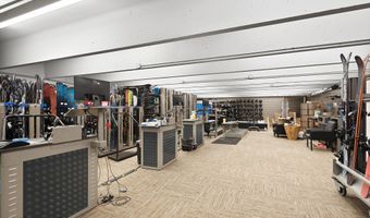 408 E Cooper Ave, Aspen, CO 81611