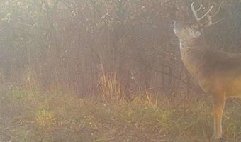 652 Nd St, Albia, IA 52531