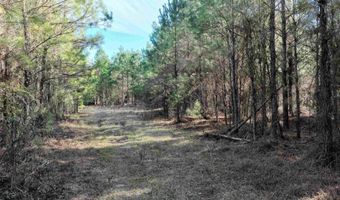 00 Hadwin Rd, Bamberg, SC 29003