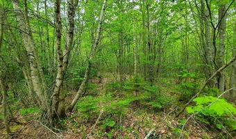 77 S Princeton Rd, Alexander, ME 04694