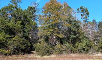 Bryant Drive, Bayou La Batre, AL 36509