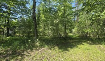 2115 Drummond Rd, Alger, MI 48610