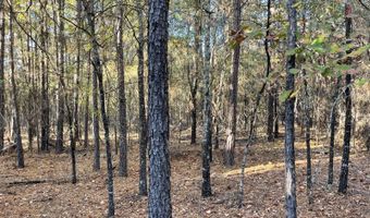 0 E 1912 Rd, Antlers, OK 74523