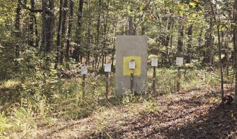 7501 Rainey Morris Rd, Appling, GA 30802