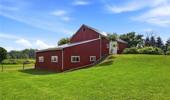14060 Maple St, Albion, NY 14411