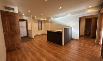 210 E Hyman Ave 201 & 202, Aspen, CO 81611