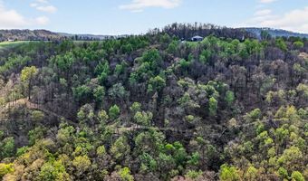 61 AC Hidden Cove Ln, Allons, TN 38541