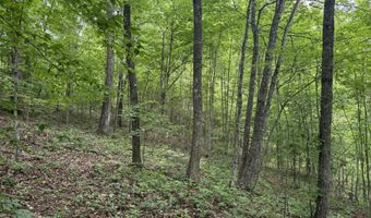 Ashland Camp Loop lot 166, Beattyville, KY 41311