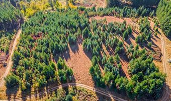 NW Lodge Rd, Banks, OR 97106