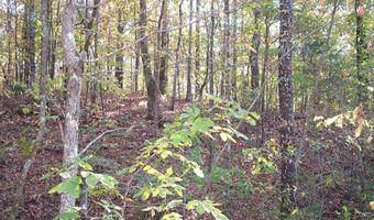 0 SARDIS Rd 1, Ashland, AL 36251