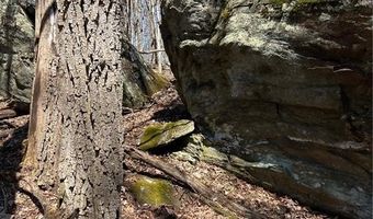 Tdb Nettles Ridge Road, Banner Elk, NC 28604