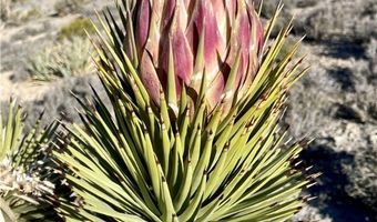 159 Eagle Nest Cir, Cold Creek, NV 89124