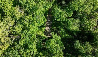 9707 ROGERS Rd, Alanson, MI 49706