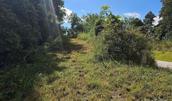 97 Destination Dr, Asheville, NC 28806
