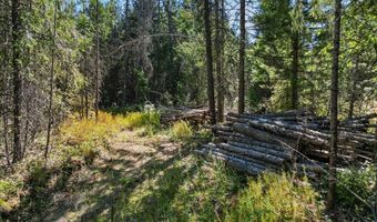 662 Homestead Hollow Rd, Careywood, ID 83809