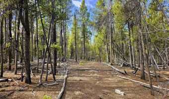 PCS # 7765 & 12057 Rollies Trail lot 0, Alma, CO 80420