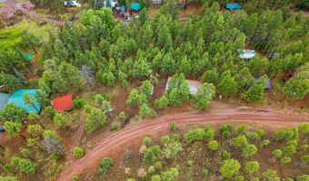 29 N 2058, Alpine, AZ 85920