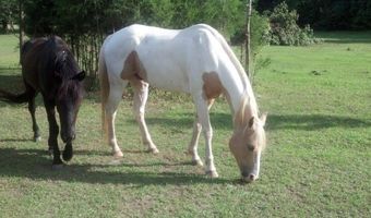 350 Flatwood Farm Rd, Abbeville, SC 29620