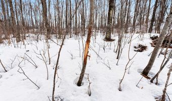 6506 DOUBLE BEND Rd, Argonne, WI 54511